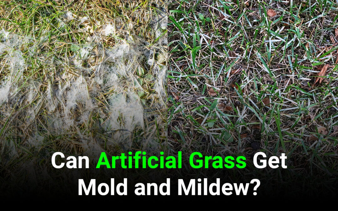 Can Artificial Grass Get Mold and Mildew